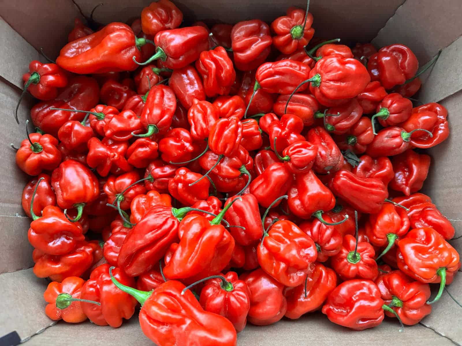 Mama Ibeji Afro Caribbean Grocers