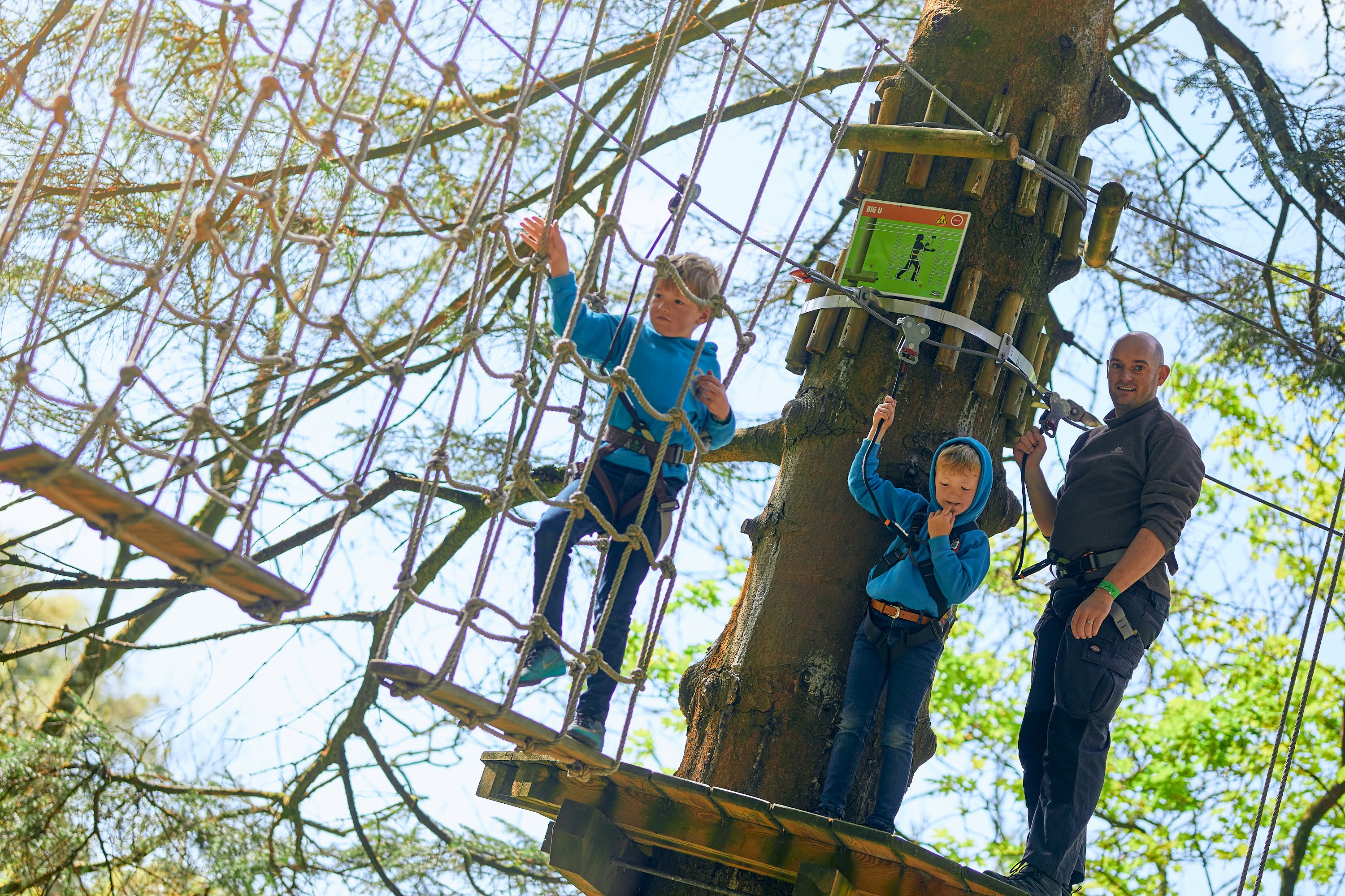 Go Ape Whinlatter